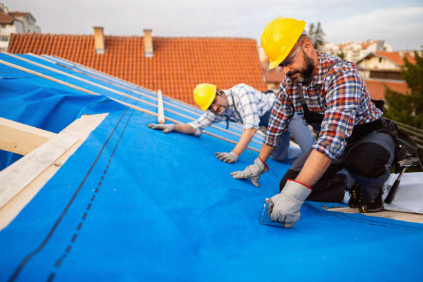 Best Emergency Roof Repair Services  in Dunnavant, AL