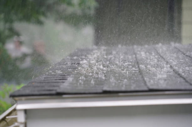 Best Storm Damage Roof Repair  in Dunnavant, AL