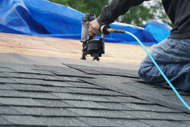 Best Roof Moss and Algae Removal  in Dunnavant, AL