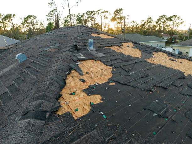 Best 4 Ply Roofing  in Dunnavant, AL