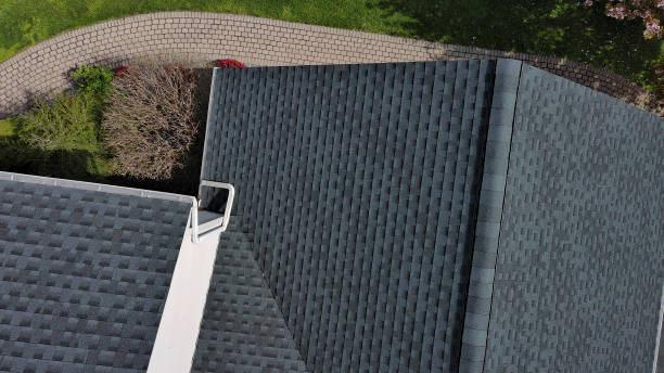 Best Sheet Metal Roofing  in Dunnavant, AL