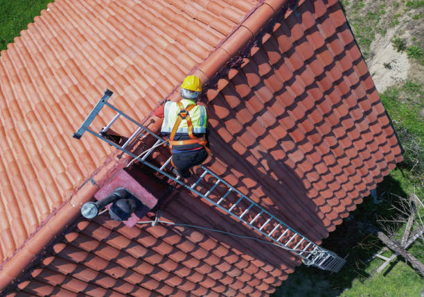 Best Roof Maintenance and Cleaning  in Dunnavant, AL