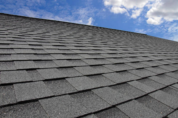 Best Roof Ventilation Installation  in Dunnavant, AL