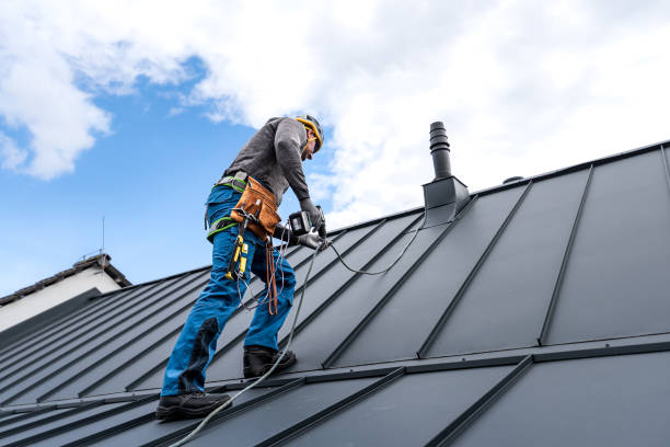 Best Roof Insulation Installation  in Dunnavant, AL